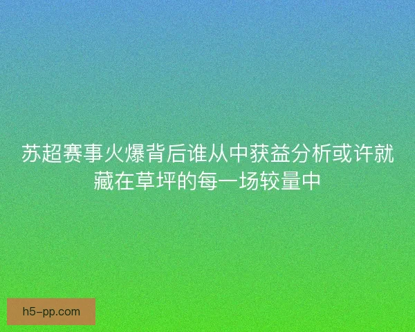 苏超赛事火爆背后谁从中获益分析或许就藏在草坪的每一场较量中 苏超赛事火爆背后谁从中获益分析或许就藏在草坪的每一场较量中